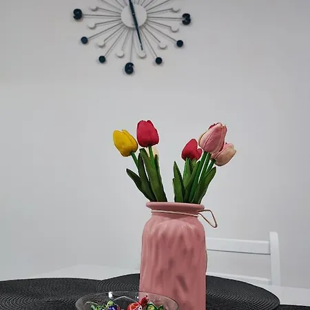 White Pearl & * Veliko Gradište