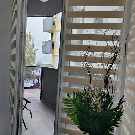 White Pearl & Apartamento